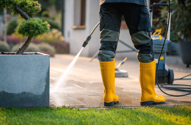 Best Concrete Pressure Washing  in Miles City, MT